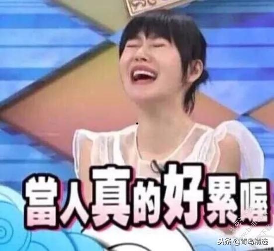 在娱乐圈吃瓜后我爆红了tXt